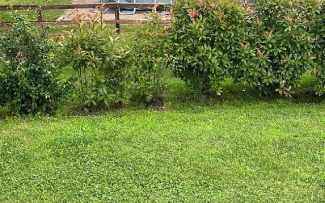 Villa Anna Miralago in Puegnago sul Garda