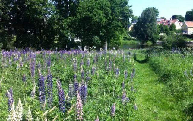 STF Vandrarhem Tollarp