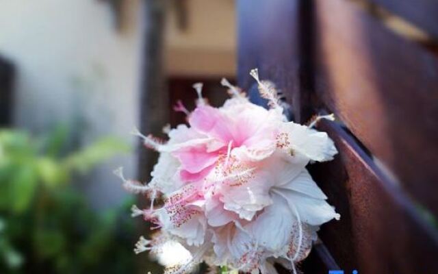 gorgeous morning inDALI