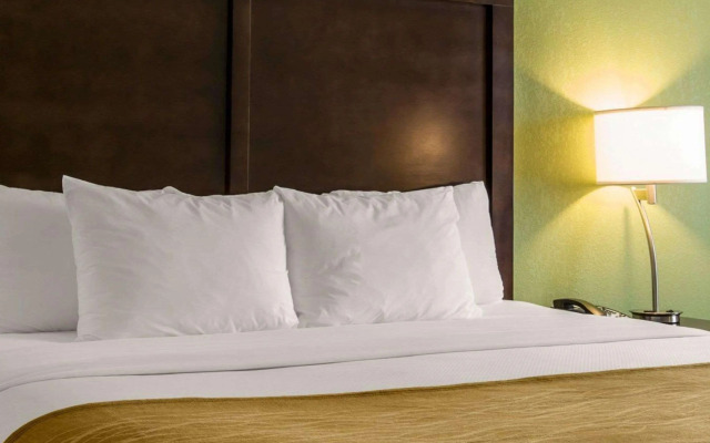 Comfort Inn Sylva - Cullowhee