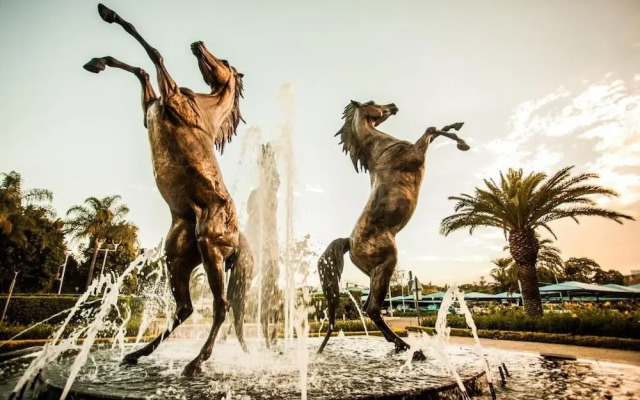 Southern Sun Pietermaritzburg