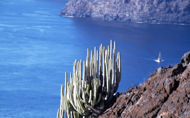 Paula Pool Apartment Adeje