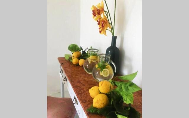 Terrazzo Esclusivo Con Zona Solarium Da 200 Mq