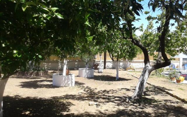 Lemon Garden