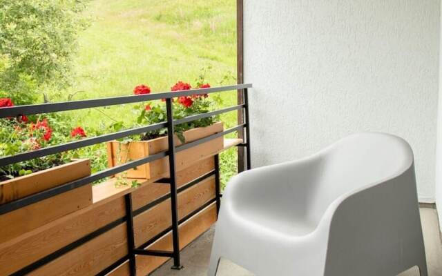 Modern Flat in Niedersfeld