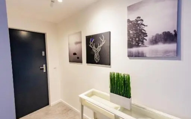 Apartamenty na Chopina