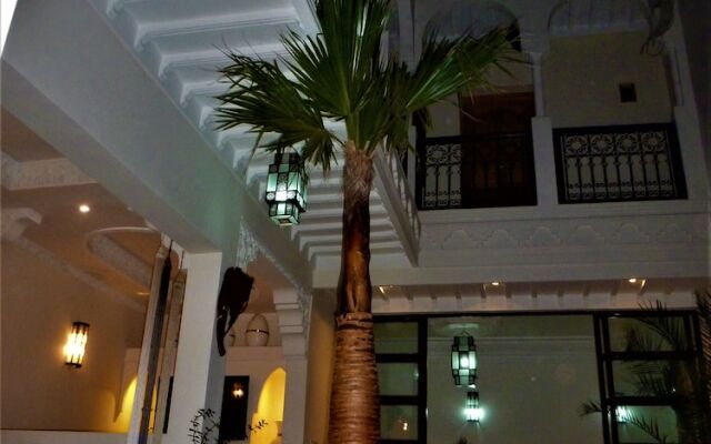 Riad Safina