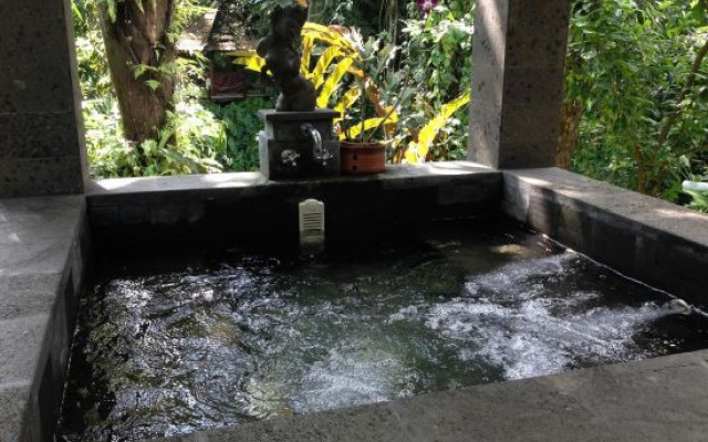 The Bali Shanti