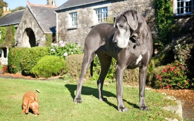 Blacksmith's Cottage