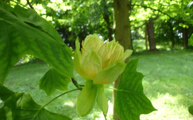 Maison dhôtes Le Château de Puxe