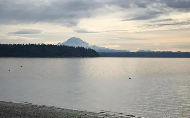 Olympic View Cottage