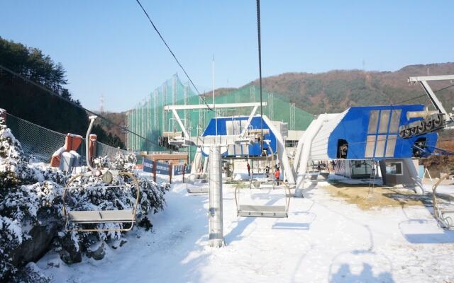 Bears Town Resort