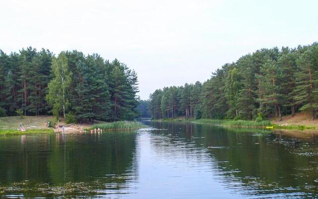 Romantic Attic Apartment Druskininkai