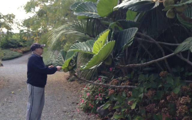 Chelsea House Bed & Breakfast