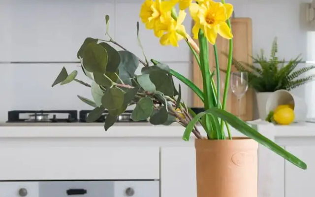 HouSmart Nazario Sauro 15