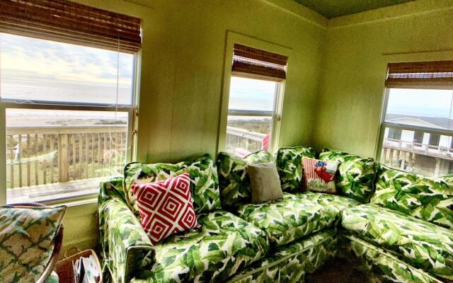 Happy Honu by RedAwning