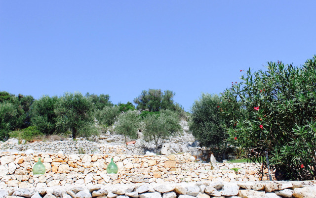 Amoru Bed & Breakfast