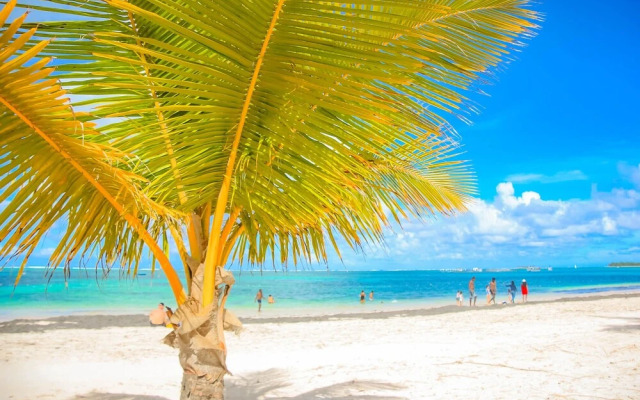 White Sands Beach