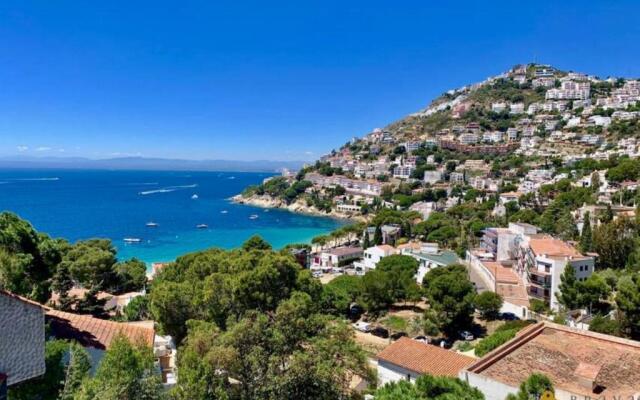 Delfin 9 J Canyelles Roses - Barneda Premium