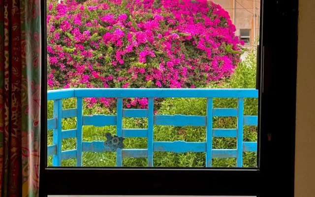 Palma Oasis Hostel
