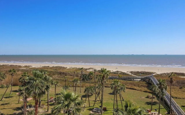 Galvestonian 409 - Pelican Pathway