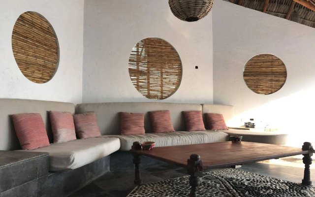 Agave del Mar