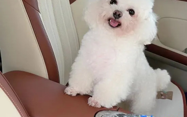 Xiyue LOFT Art Cinema apartment Hotel