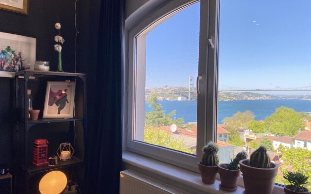 Flat With Bosphorus View and Backyard in Uskudar