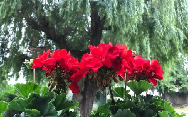 Hotel & Restaurant Frankenberger