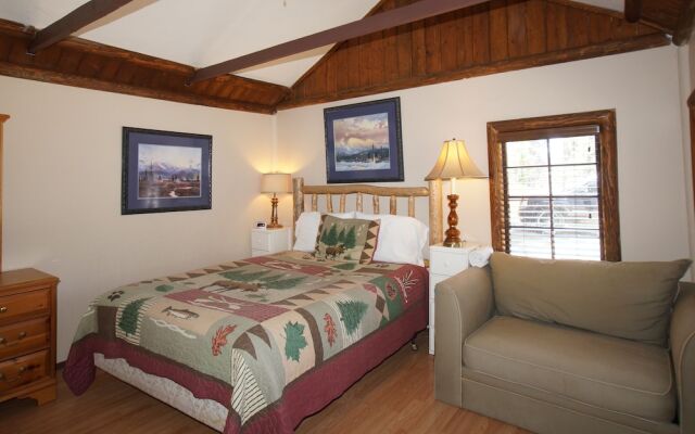 Grizzly Bear - Fox 'n Bear