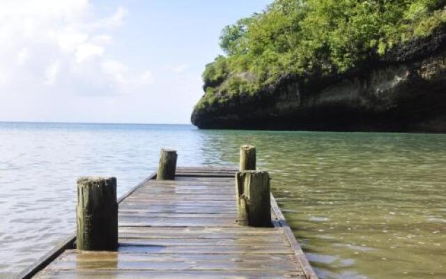 Marigot Palms Luxury Caribbean Apartment Suites