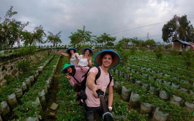 Buton Backpaker Lodge - Hostel