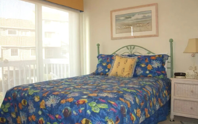 Barrier Dunes 408 71 Starry Night