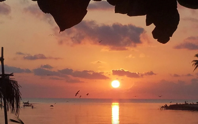 Pal's on the Beach - A Gold Standard Hotel