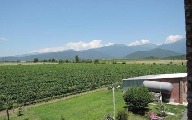 Shaloshvili's Cellar Hotel