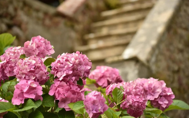 Relais Corte Rodeschi