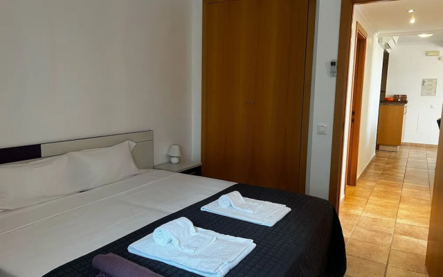 Jacaranda in Pedreguer