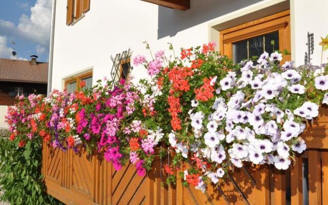Appartements Wiesenheim