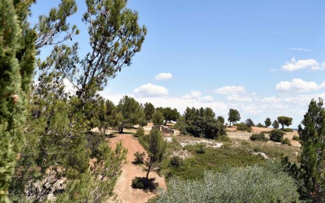 Les Garrigues de la Vallée des Baux