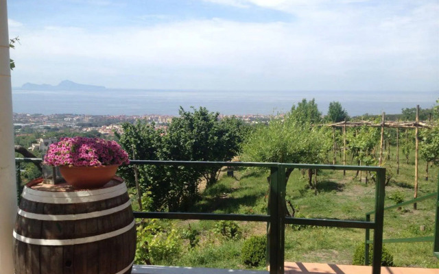 Tenuta Le Fornacelle