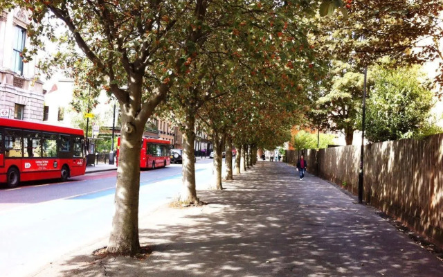 Wombat's City Hostel London