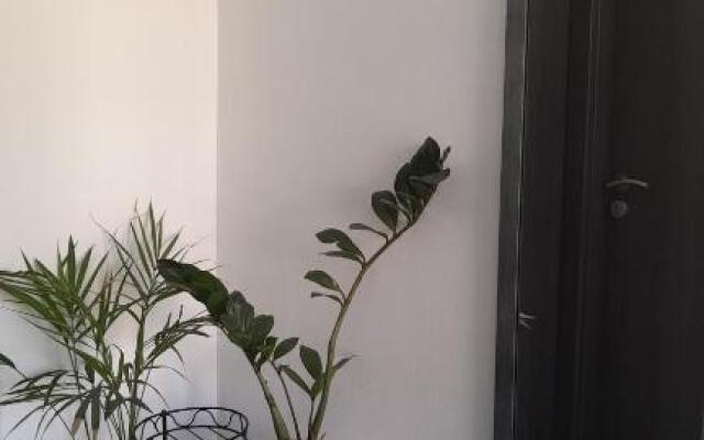 Apartments Dolac