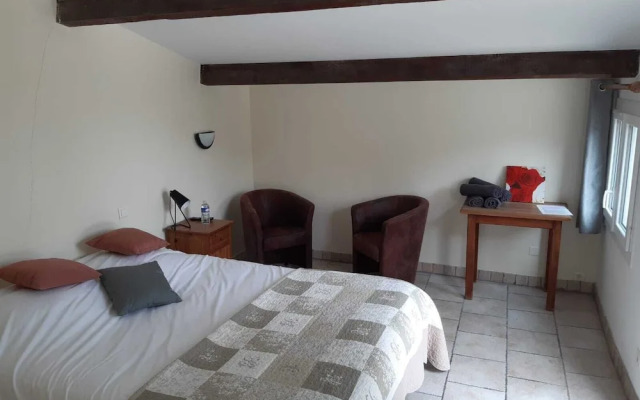 Le Vieux Platane