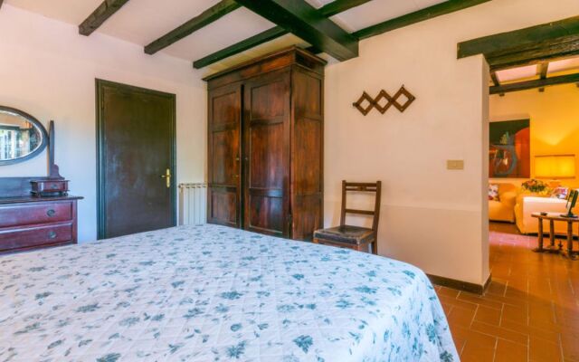 Bardeggiano - Caterina 5 (COL241)