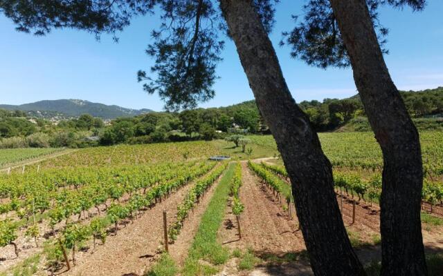 Domaine de la Navicelle - Oiseaux 1