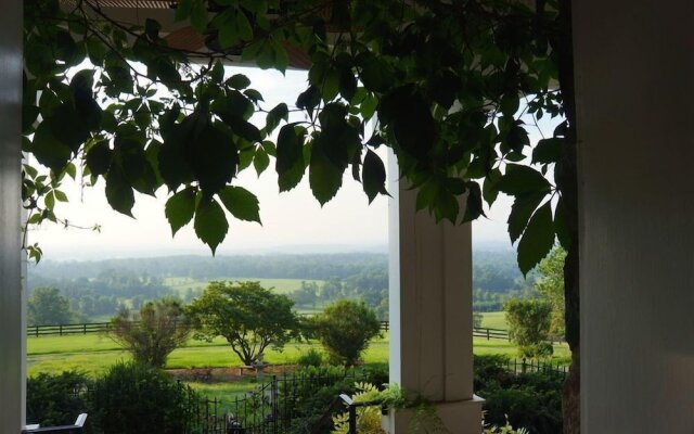 Weddings at Highholdborne