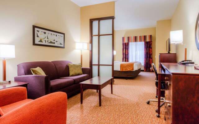 Comfort Suites Pecos