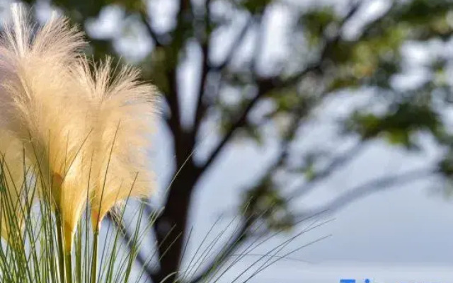 Sunset Cliff Panorama Hotel (Dali, Erhai)
