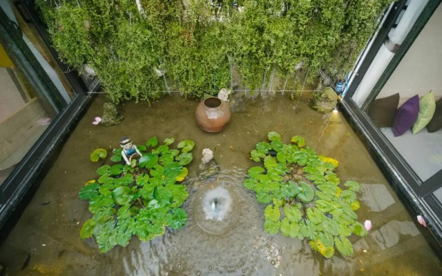 Homestay CHẤT - Oasis View 1