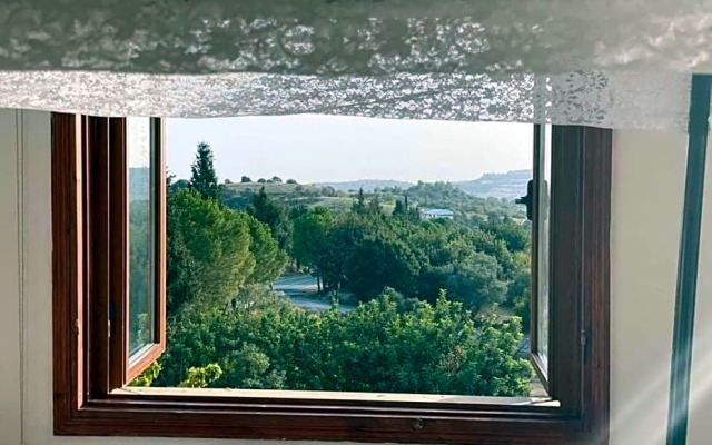 Spring Of Life Forever